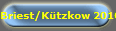 Briest/K�tzkow 2010