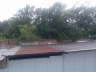 Das Storchennest