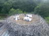 Jungst�rche 2007
