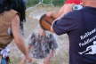 Schifferfest 2007